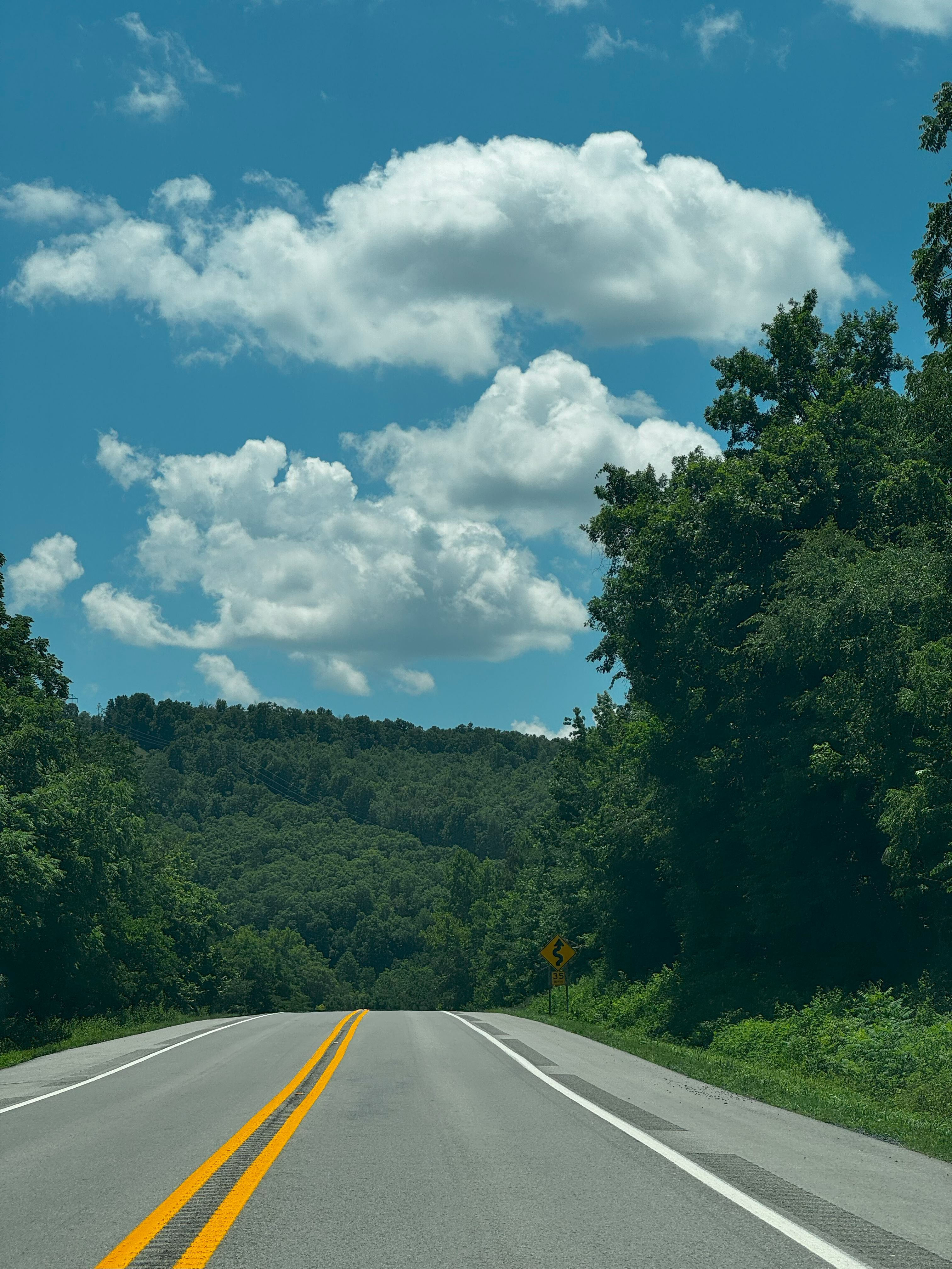 paved road between trees
